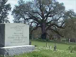 صور Memorial Park Cemetery المكان الرائع